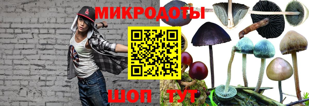 Галлюциногенные грибы Psilocybine cubensis Сегежа