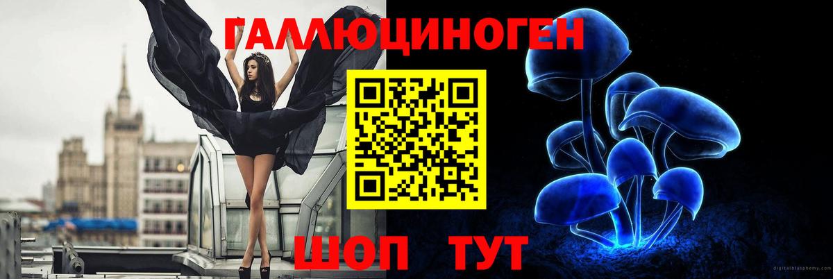 цены наркотик  Псилоцибиновые грибы мухоморы  Вход с VPN  Сегежа 